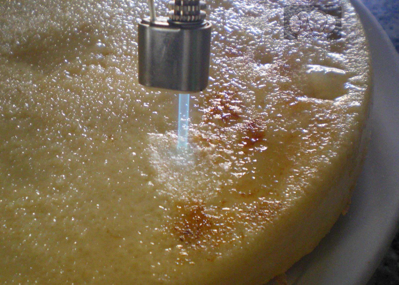 [migliaccio---08.jpg]