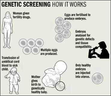 babies designer screening process genetic procedure bio vitro fertilization leggo method