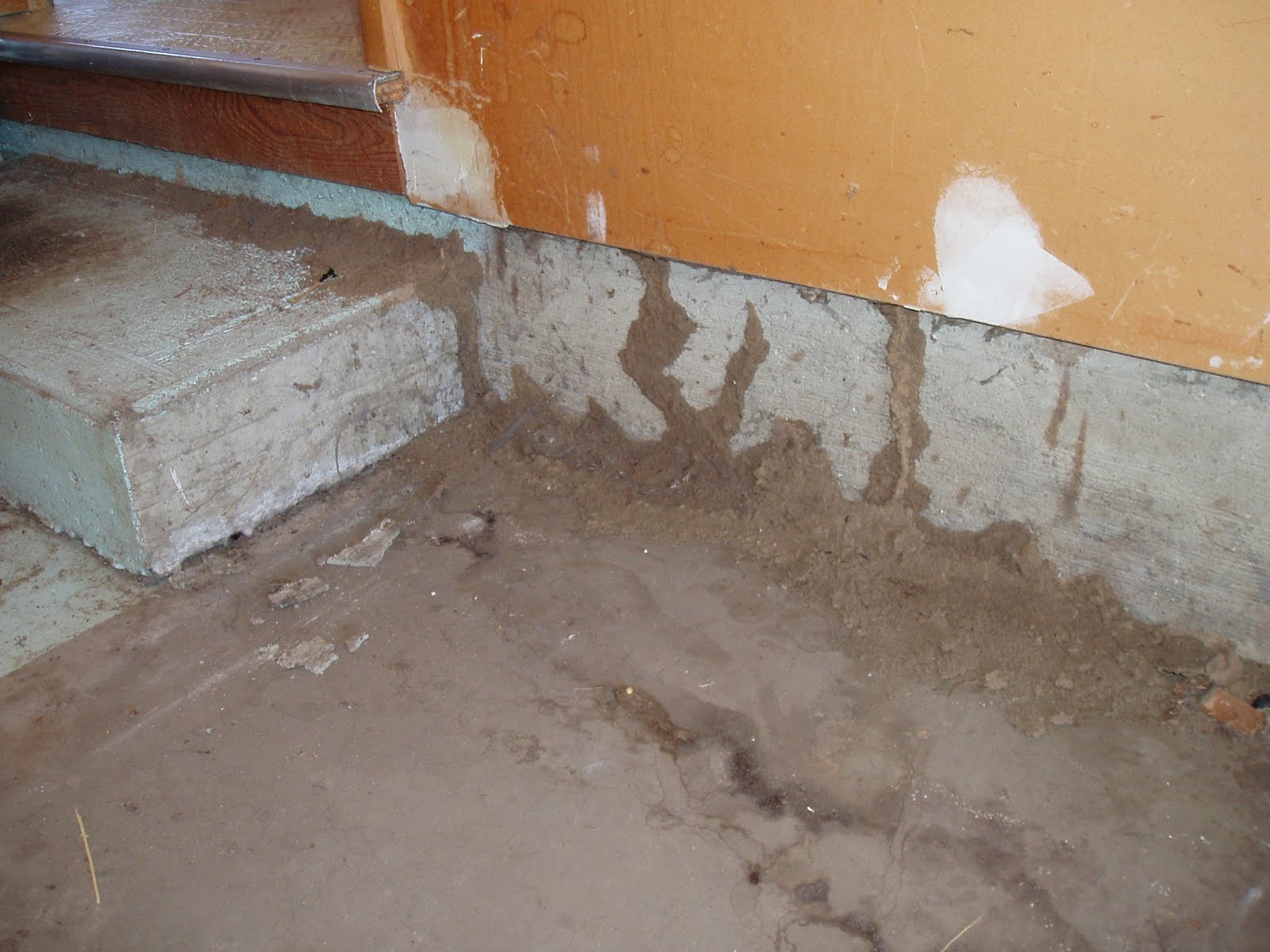 termite swarmers bugman al