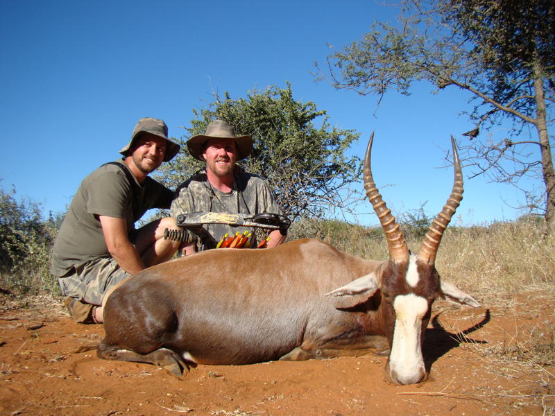 the blesbok