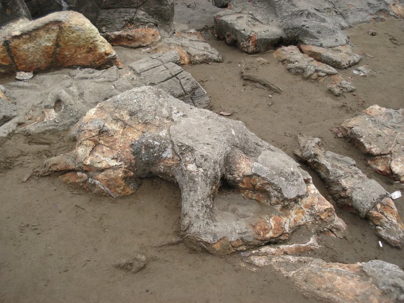 IT'S A STRANGE Si Tanggang / Malim Kundang