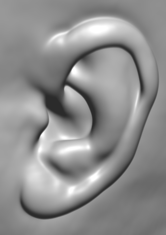 [ear.png]