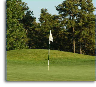 [golfflag.jpg]