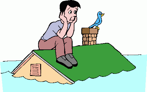 [Flood_Insurance.gif]