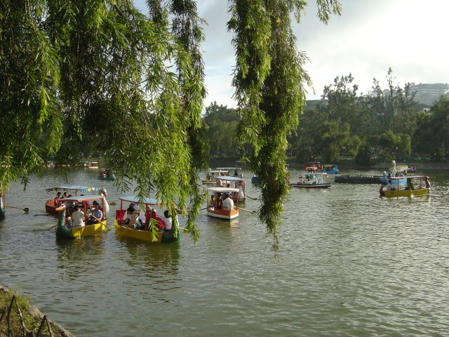 [9_burnham_park_rowboats.jpg]