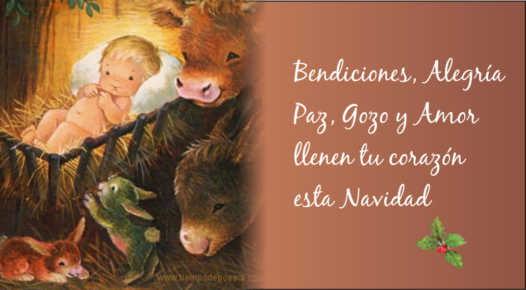 FRASE FELICITAR NACIMIENTO frase felicitar nacimiento: