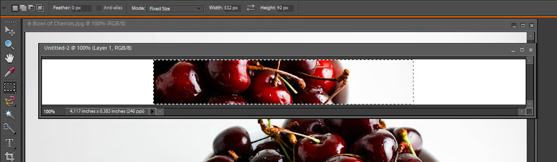 Bowl of Cherries - Header Image Bowl of Cherries - Header Image