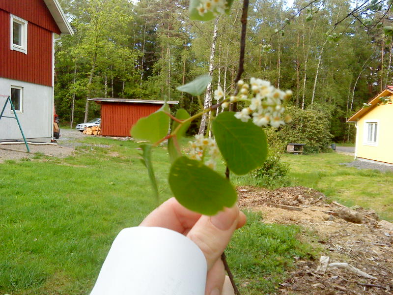 [image-upload-147-712610.jpg]