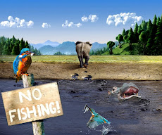 no fishing no paranza