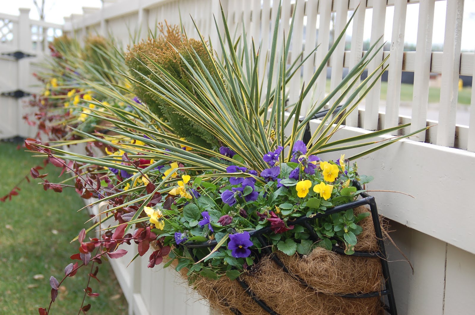 bwisegardening Day 17 Hayrack Plantings for Your Courtyard