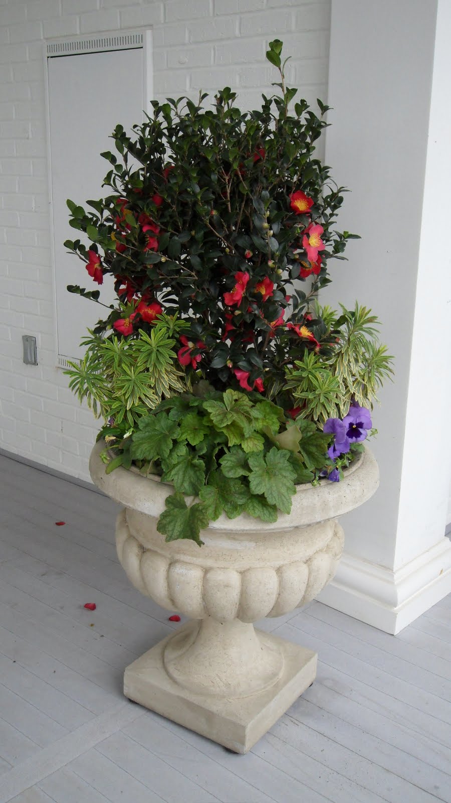 bwisegardening Day 53 I Do Love Winter Containers!