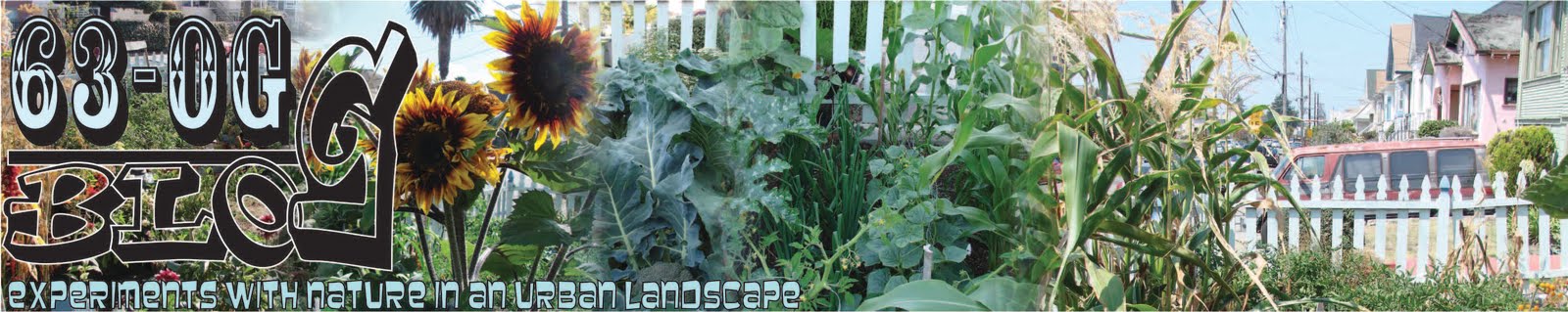 63rd St Oakland Garden Blog