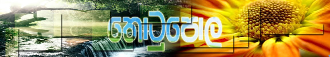 Thotupola (තොටුපොල)