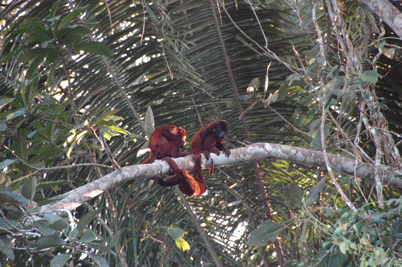 [DSC_0587-746012.JPG]