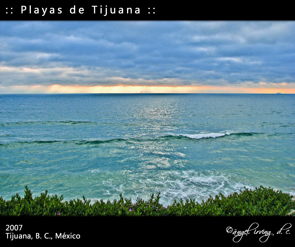 pedazo tierra  region Estado Baja California Mexico