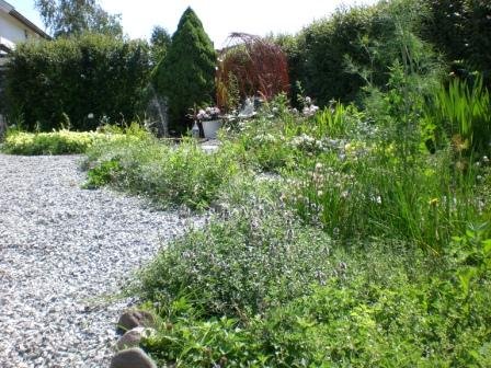 [komprimert+CIMG0074.JPG]