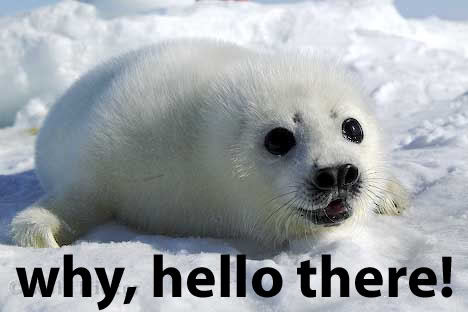 Why Hello There