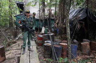 Foto 0 en  - Laboratorios de droga se esconden en selva fronteriza entre Venezuela y Colombia
