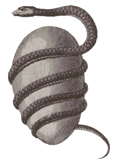 [SnakeEgg.gif]