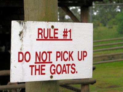 donotpickupgoat%20via%20C%20Bahm.JPG