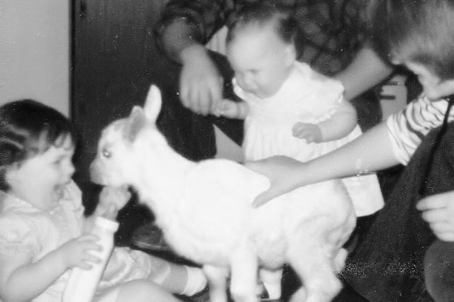 kids with goat kid