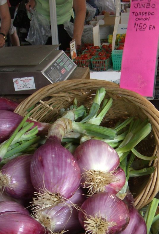 [torpedo_onion_0722.JPG]