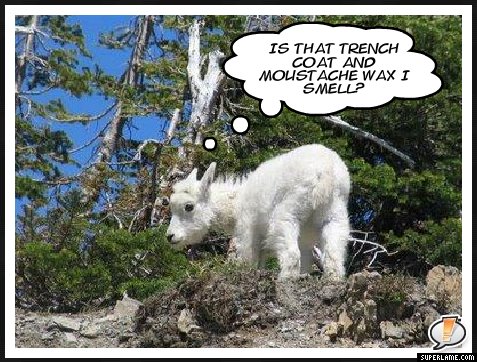 [baby_goat.jpg]