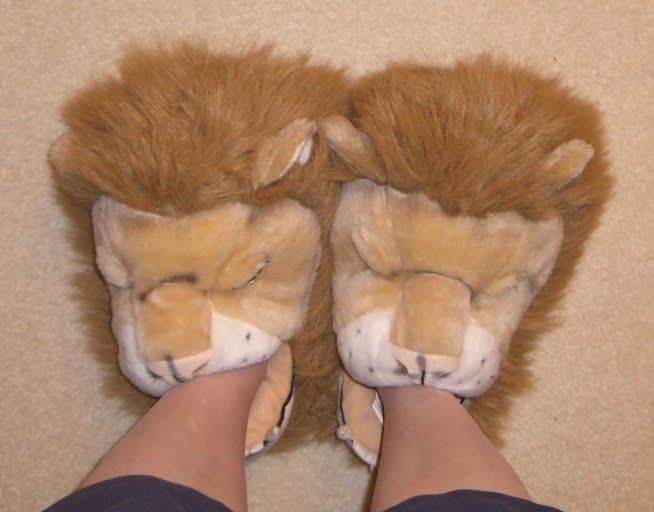 [lion+slippers.jpg]