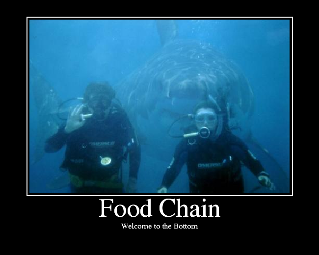 FoodChain.png