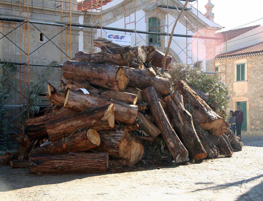 [IMG_0317---1.jpg]