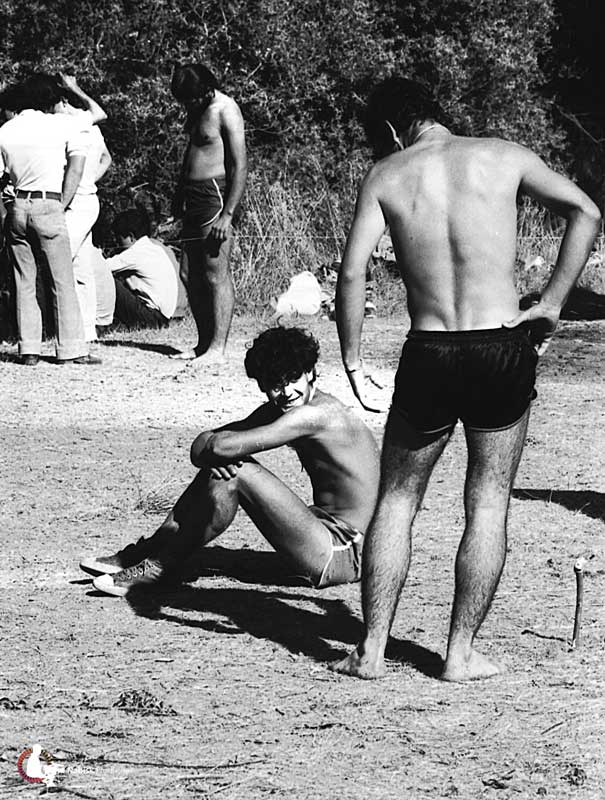 [sem-peneiras-b03.jpg]