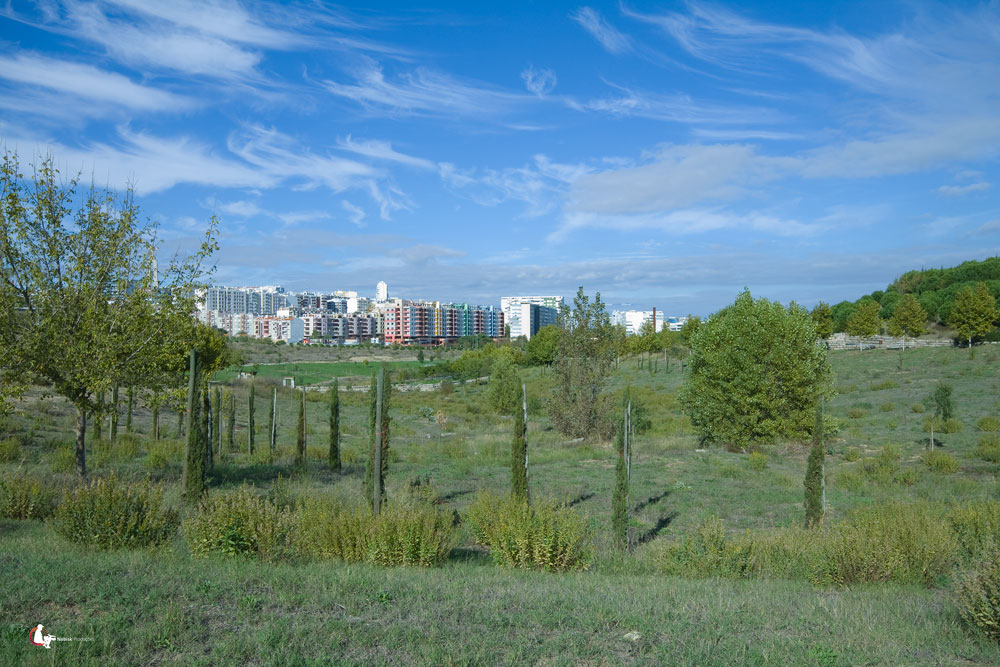 [parque-03.jpg]