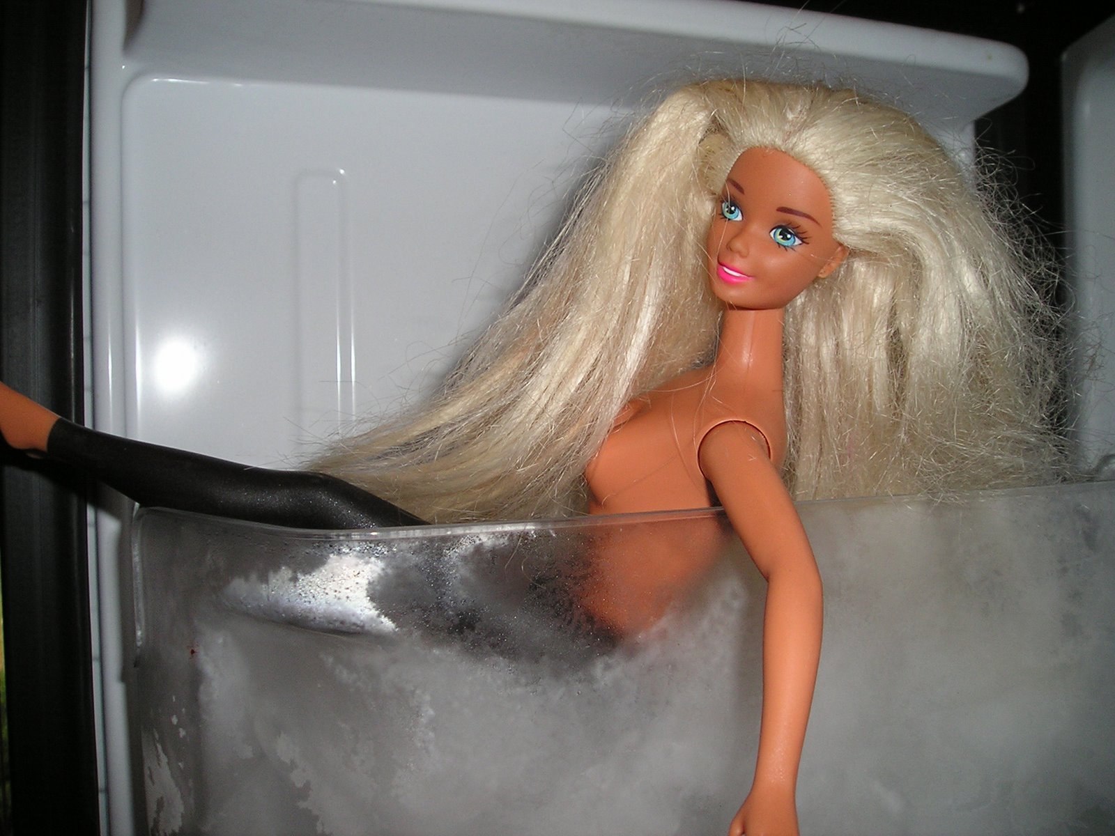 [barbie_cold.jpg]