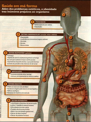 Fisiologia corpo humano