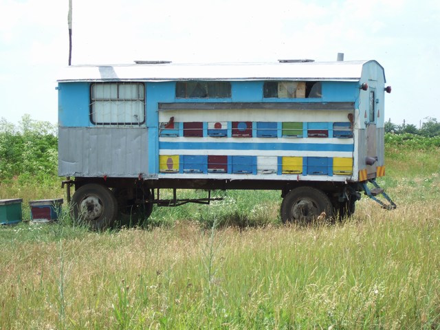 [mini-DSCF0222.JPG]