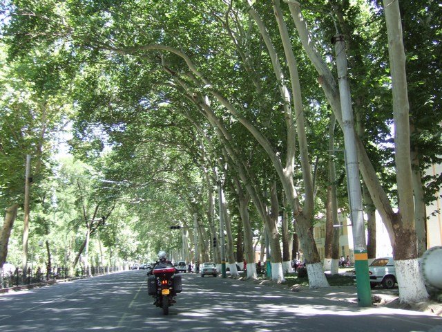 [mini-DSCF0972.JPG]