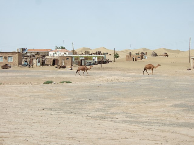[mini-DSCF0781.JPG]