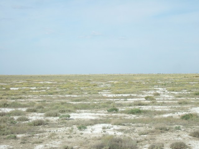 [mini-DSCF0251.JPG]