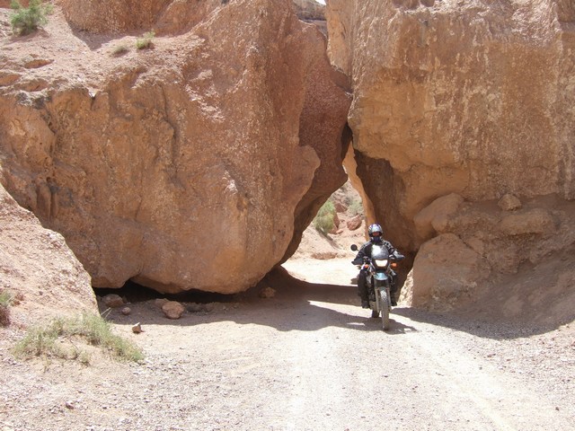 [mini-DSCF0192.JPG]