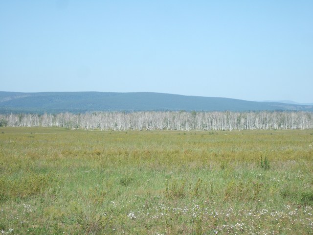 [mini-DSCF0714.JPG]