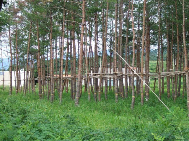 [mini-DSCF0929.JPG]