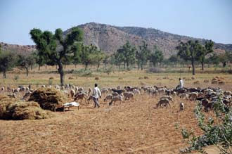 Jaipur-Delhi terrain