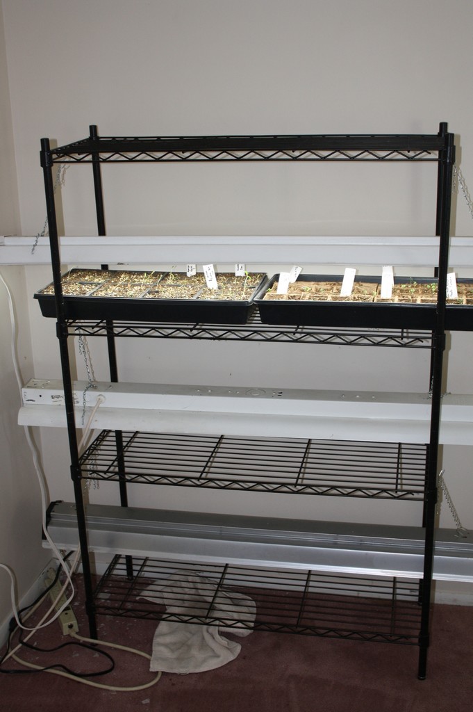 [Shelf+with+lights.jpg]