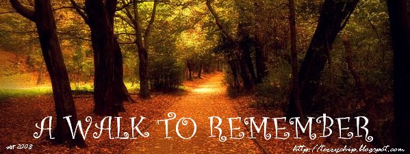 A Walk To Remember