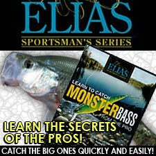 get expert bass fishing advice from paul elias