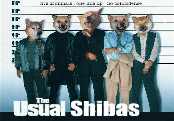 The Usual Shibas