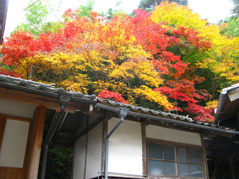 [shimane-fall-1.JPG]