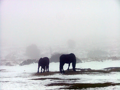Devon Winter Weather