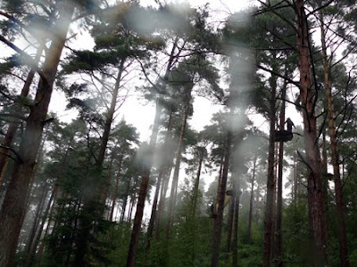 Haldon Forest Park