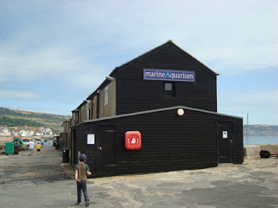 Lyme Regis Aquarium